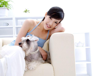 9.1极速版更新界面